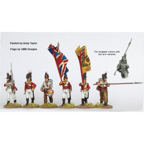 Infantry command marching 1808-14