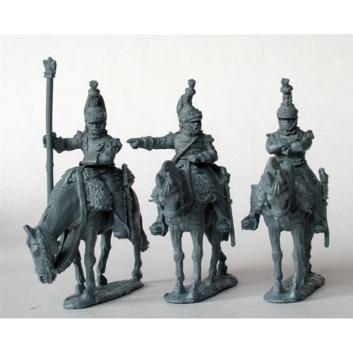 Cuirassier Command on standing horses in reserve