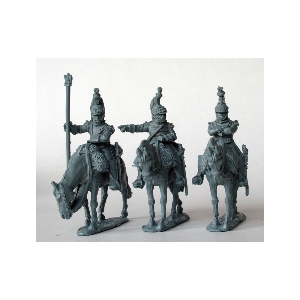 Cuirassier Command on standing horses in reserve