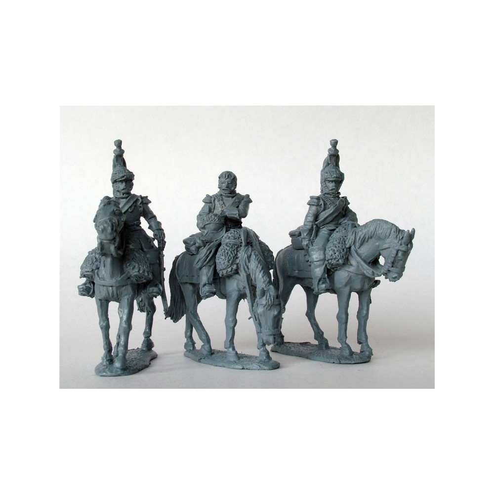 Cuirassiers on standing horses in reserve