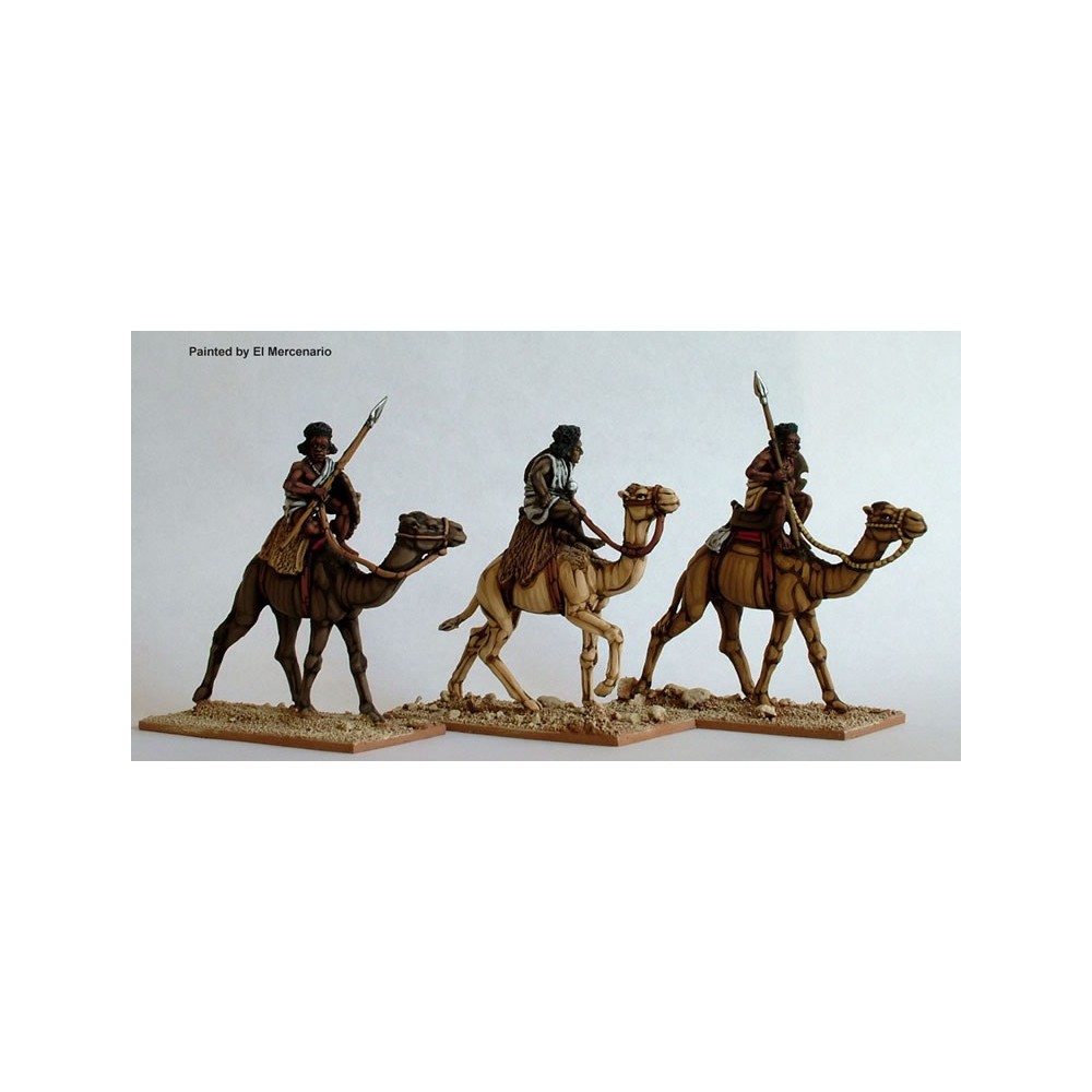 Mounted Beja on camels with spears and sword