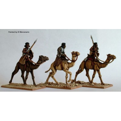 Mounted Beja on camels with spears and sword