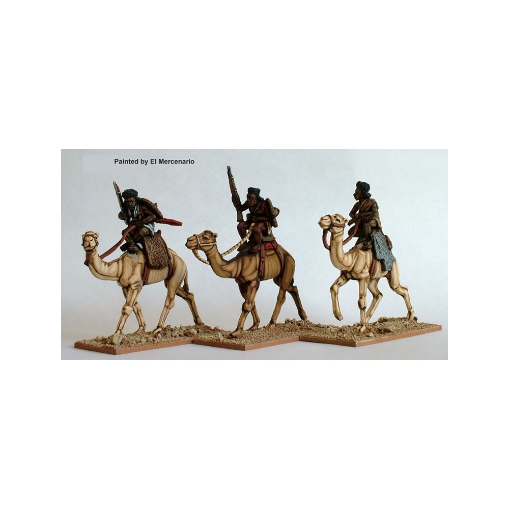 Mounted Beja on camels with rifles