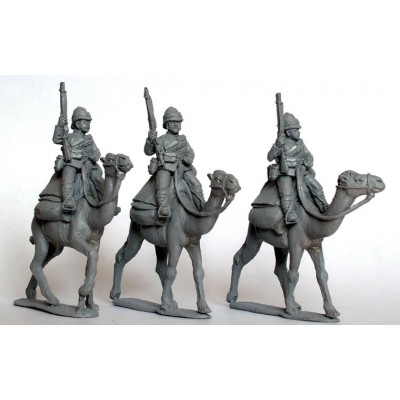 British Camel Corps