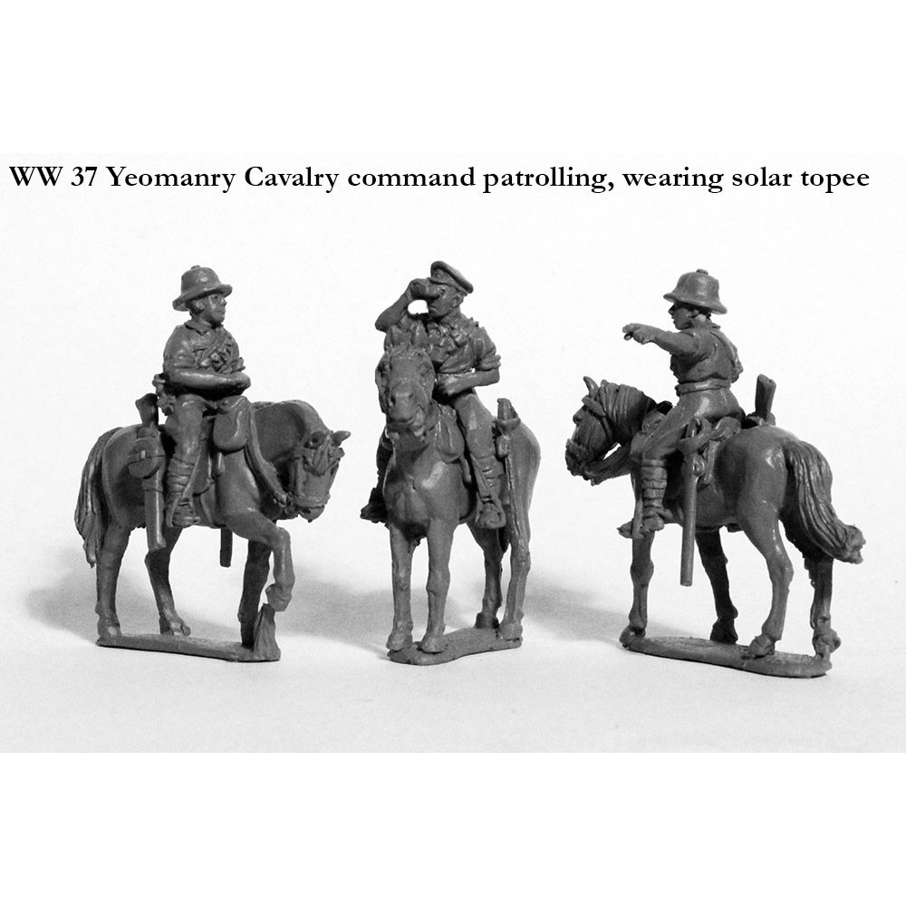 Yeomanry Cavalry command patrolling