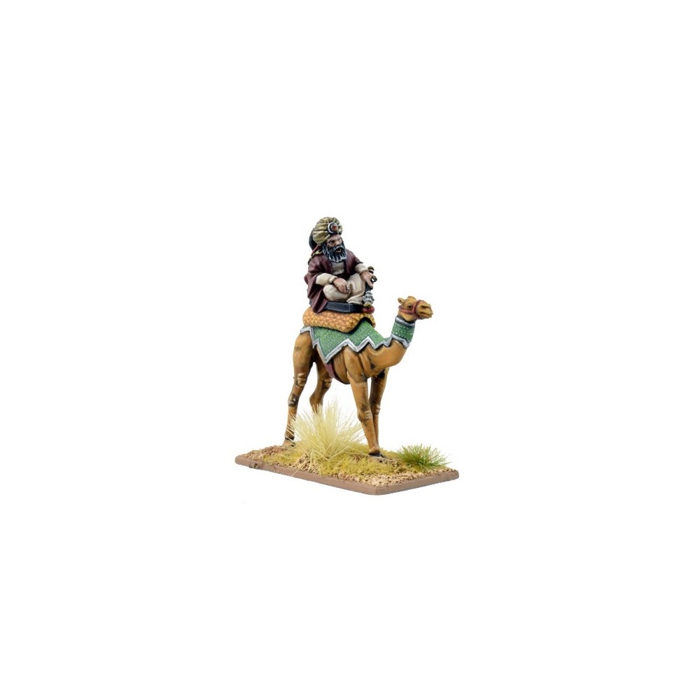 Mutatawwi'a Warlord on Camel