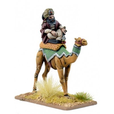 Mutatawwi'a Warlord on Camel