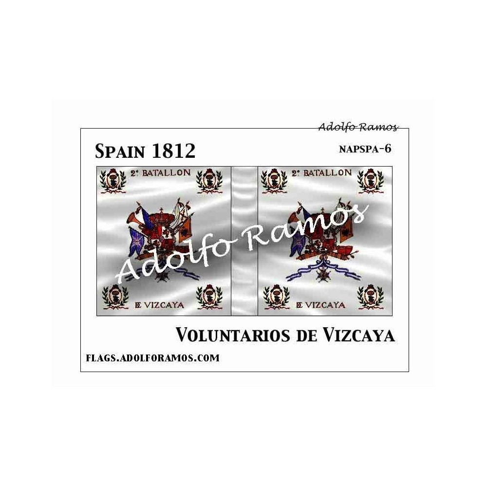 Voluntarios de Vizcaya