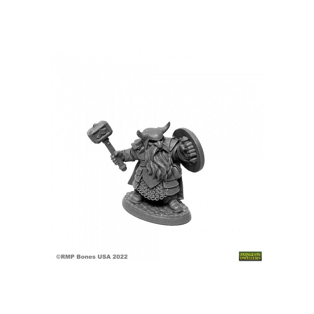 Borin Ironbrow, Dwarf