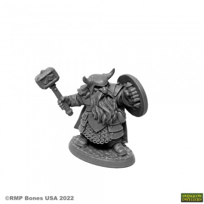 Borin Ironbrow, Dwarf