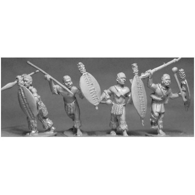 4 Unmarried Zulu warriors with an assortment of weapons and shields.Cowtail Adornments.