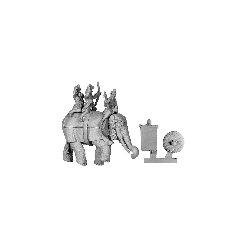 Indian Elephant with  Crew