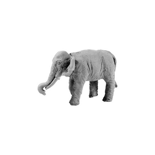 Indian Elephant (Bare)