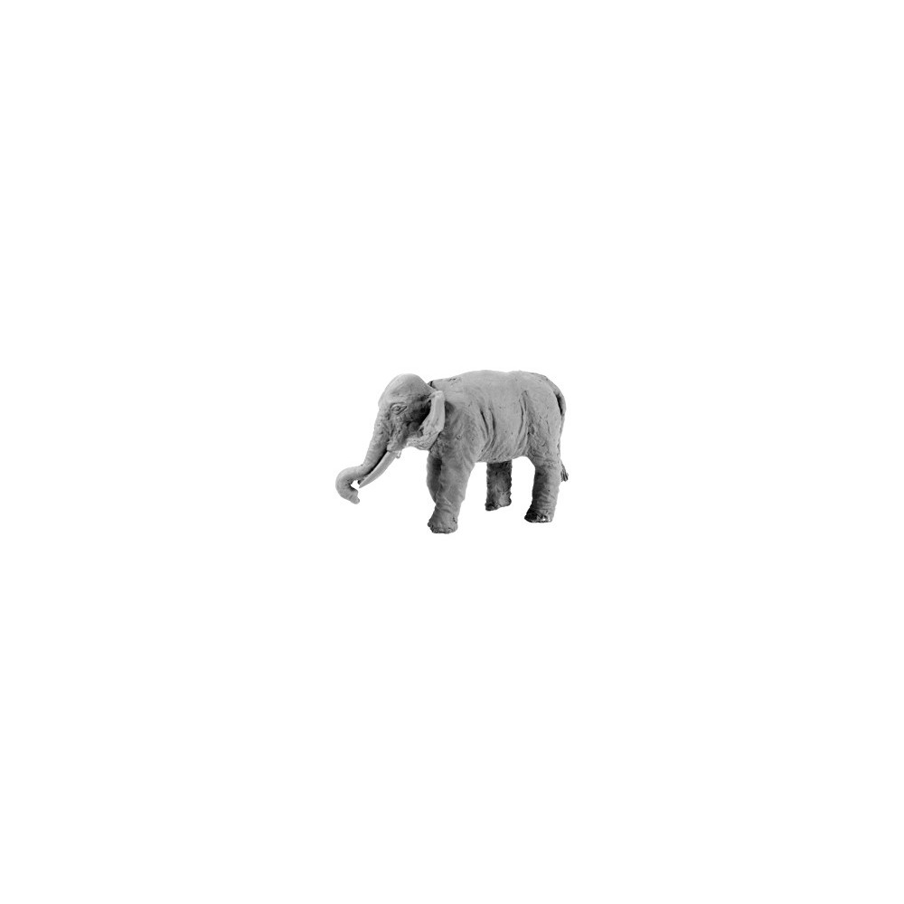 Indian Elephant (Bare)