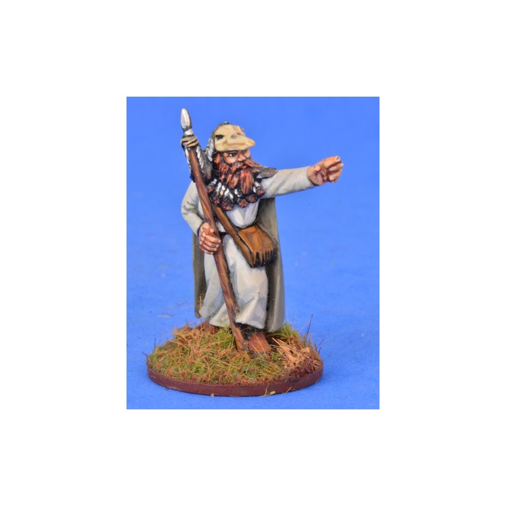 SAGA Pagan Priest Two