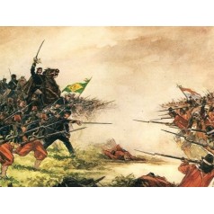 La Guerra de la Triple Alianza 1864-1870